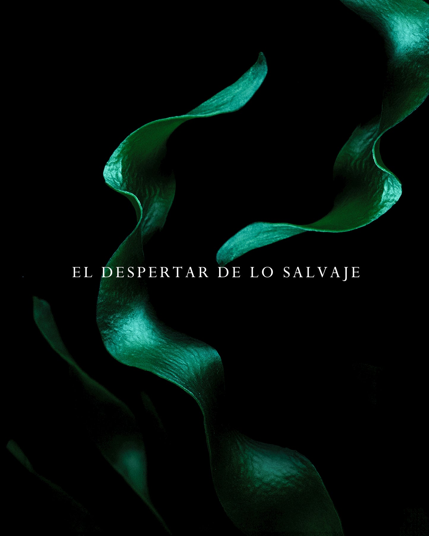 Nebbia Di Sale Marina - INVICTO COSMETICS